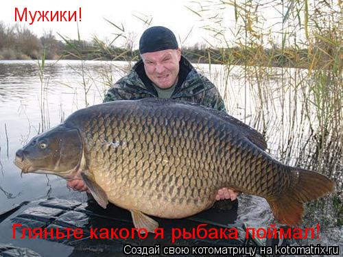 Мужики! Гляньте какого я рыбака поймал!... Котоматрица: Мужики! Гляньте какого я рыбака поймал!