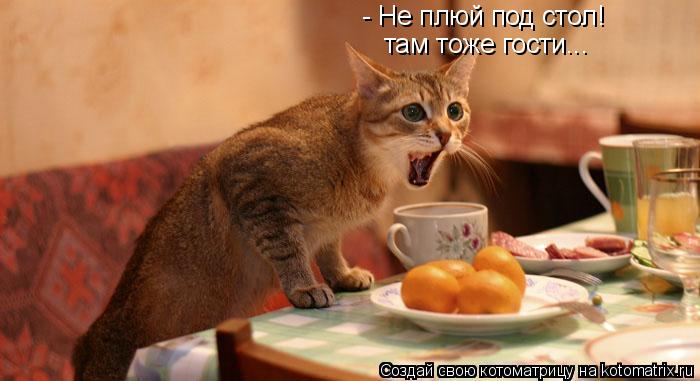 - Не плюй под стол! там тоже гости...... Котоматрица: - Не плюй под стол! там тоже гости...