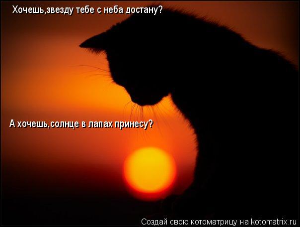 Хочешь,звезду тебе с неба достану? А хочешь,солнце в лапах принесу?... Котоматрица: Хочешь,звезду тебе с неба достану? А хочешь,солнце в лапах принесу?