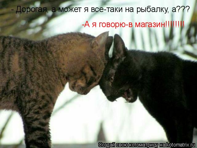 - Дорогая, а может я все-таки на рыбалку, а??? -А я говорю-в магазин!!!!!!!!... Котоматрица: - Дорогая, а может я все-таки на рыбалку, а??? -А я говорю-в магазин!!!!!!!!