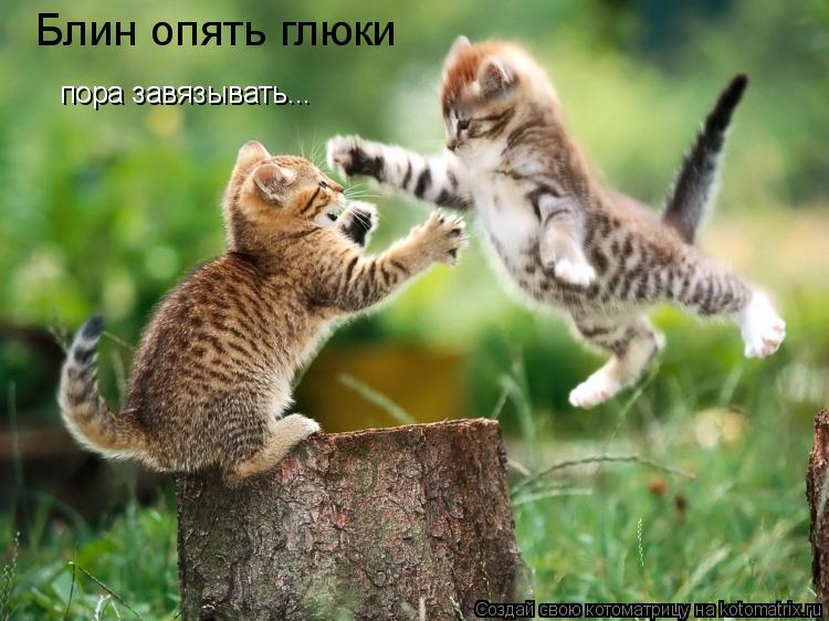 Блин опять глюки пора завязывать...... Котоматрица: Блин опять глюки пора завязывать...
