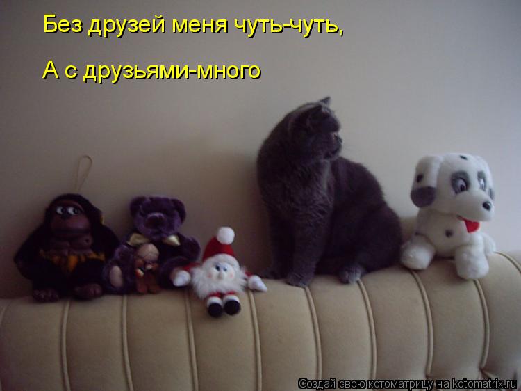 Без друзей меня чуть-чуть, А с друзьями-много... Котоматрица: Без друзей меня чуть-чуть, А с друзьями-много