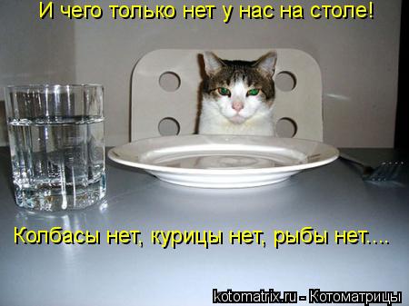И чего только нет у нас на столе! Колбасы нет, курицы нет, рыбы нет....... Котоматрица: И чего только нет у нас на столе! Колбасы нет, курицы нет, рыбы нет....