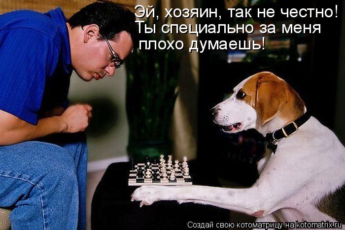 Эй, хозяин, так не честно! Ты специально за меня плохо думаешь!... Котоматрица: Эй, хозяин, так не честно! Ты специально за меня плохо думаешь!