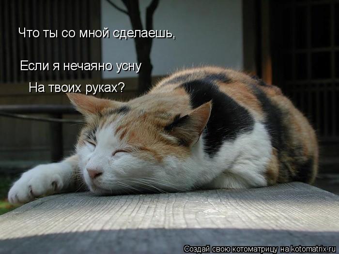 Если я нечаяно усну На твоих руках? Что ты со мно... Котоматрица: Если я нечаяно усну На твоих руках? Что ты со мной сделаешь,