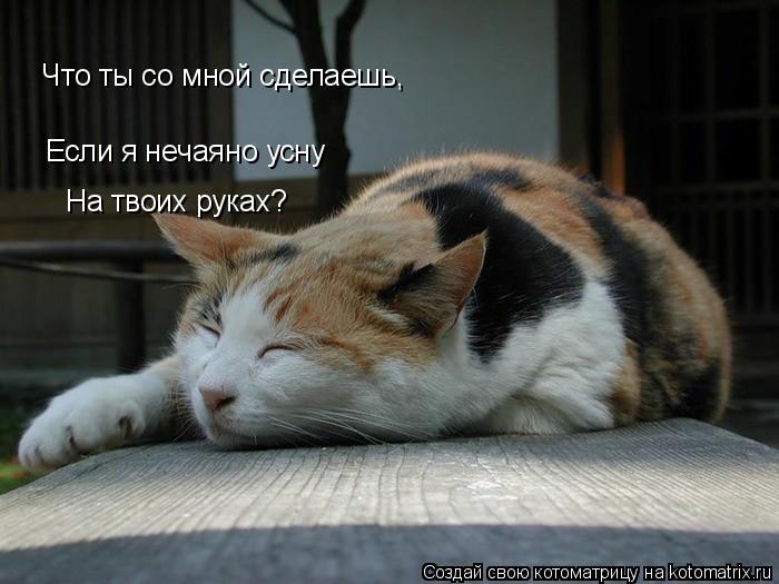 Котоматрица: Если я нечаяно усну                           На твоих руках?                           Что ты со мной сделаешь,