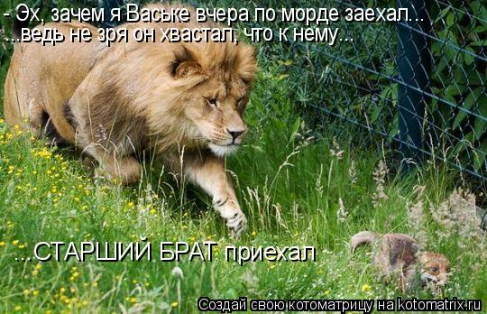 - Эх, зачем я Ваське вчера по морде заехал... ...ведь не зря он хвастал, что к нему... ...СТАРШИЙ БРА... Котоматрица: - Эх, зачем я Ваське вчера по морде заехал... ...ведь не зря он хвастал, что к нему... ...СТАРШИЙ БРАТ приехал