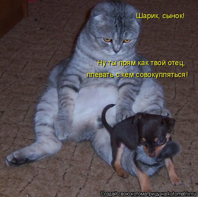 Котоматрица: Шарик, сынок!  Ну ты прям как твой отец,  плевать с кем совокупляться!