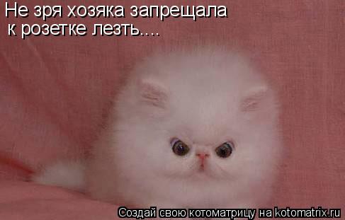Котоматрица: Не зря хозяка запрещала  к розетке лезть....