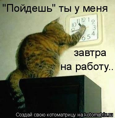 "Пойдешь" ты у меня завтра на работу...... Котоматрица: "Пойдешь" ты у меня завтра на работу...