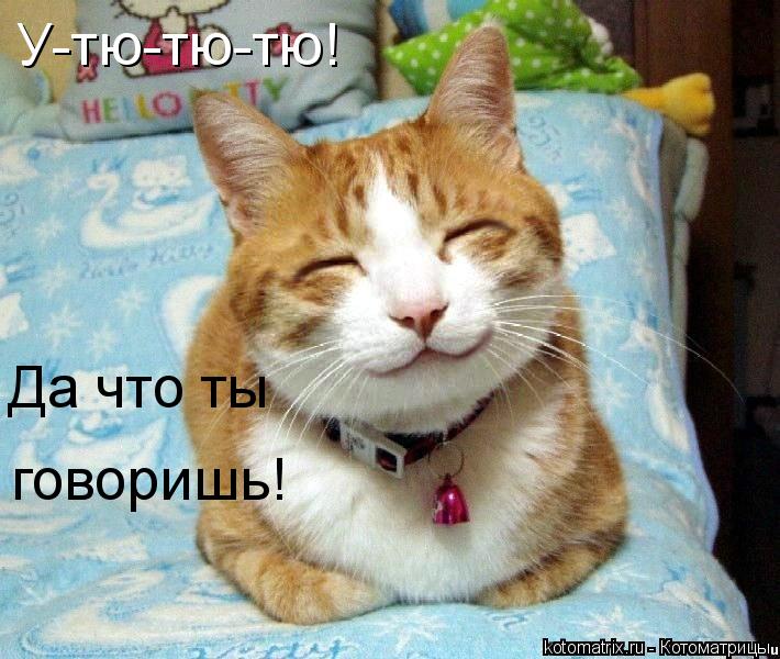 У-тю-тю-тю! Да что ты говоришь!... Котоматрица: У-тю-тю-тю! Да что ты говоришь!