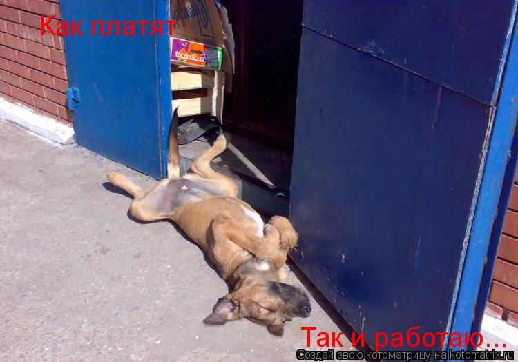 Как платят Так и работаю...... Котоматрица: Как платят Так и работаю...