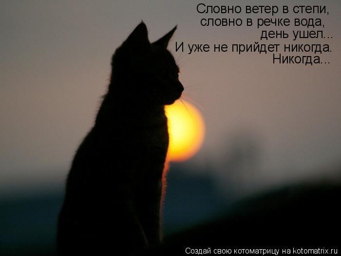 Котоматрица: Словно ветер в степи, словно в речке вода, день ушел... И уже не прийдет никогда. Никогда...