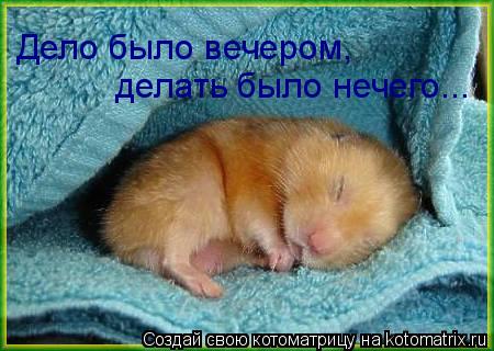 делать было нечего... Дело было вечером,... Котоматрица: делать было нечего... Дело было вечером,