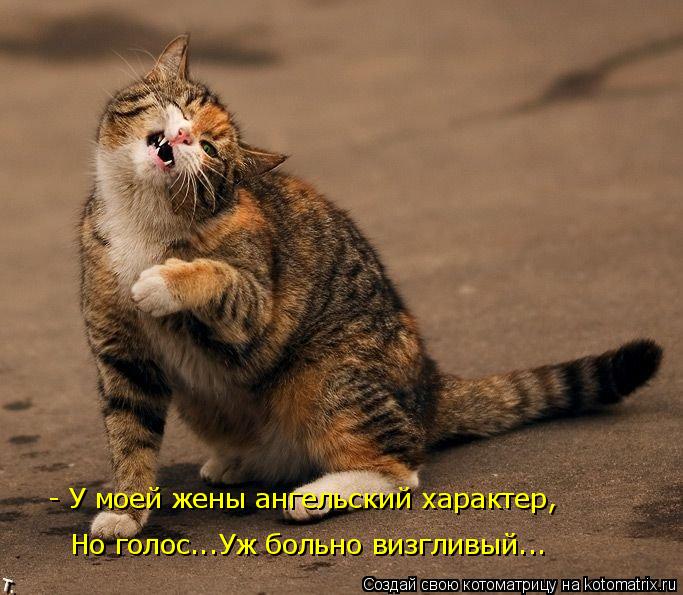 - У моей жены ангельский характер, Но голос...Уж больно визгливый...... Котоматрица: - У моей жены ангельский характер, Но голос...Уж больно визгливый...
