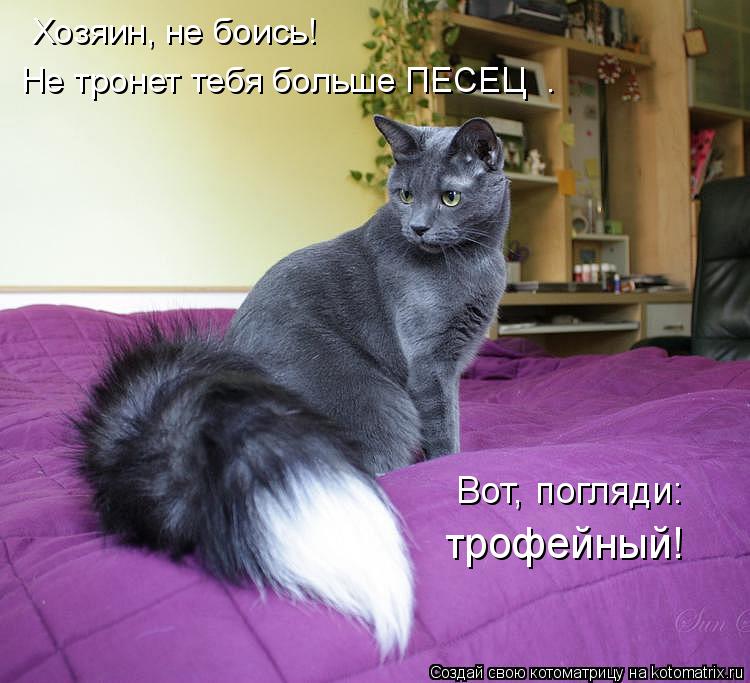 Хозяин, не боись! Не тронет тебя больше ПЕСЕЦ . Вот, погляди: трофейный!... Котоматрица: Хозяин, не боись! Не тронет тебя больше ПЕСЕЦ . Вот, погляди: трофейный!