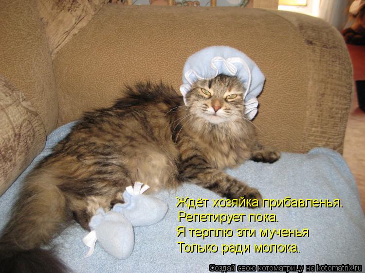 Ждёт хозяйка прибавленья. Репетирует пока. Я терплю эти мученья Только ради молока.... Котоматрица: Ждёт хозяйка прибавленья. Репетирует пока. Я терплю эти мученья Только ради молока.
