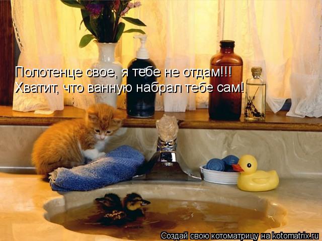 Полотенце свое, я тебе не отдам!!! Хватит, что ванную набрал тебе сам!... Котоматрица: Полотенце свое, я тебе не отдам!!! Хватит, что ванную набрал тебе сам!