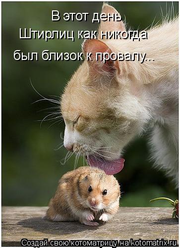 В этот день Штирлиц как никогда был близок к провалу...... Котоматрица: В этот день Штирлиц как никогда был близок к провалу...