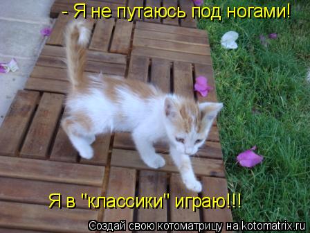 Котоматрица: - Я не путаюсь под ногами! Я в "классики" играю!!!