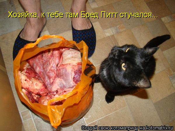 Хозяйка, к тебе там Бред Питт стучался...... Котоматрица: Хозяйка, к тебе там Бред Питт стучался...
