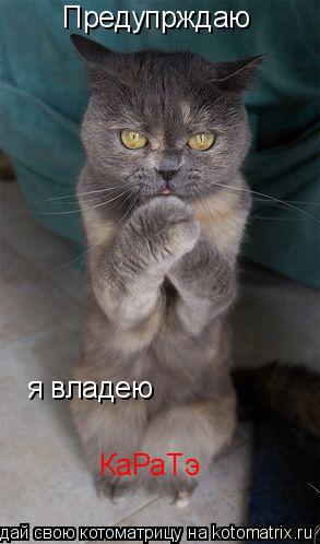 Предупрждаю я владею КаРаТэ... Котоматрица: Предупрждаю я владею КаРаТэ