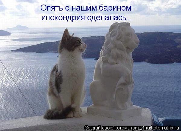 Опять с нашим барином ипохондрия сделалась...... Котоматрица: Опять с нашим барином ипохондрия сделалась...