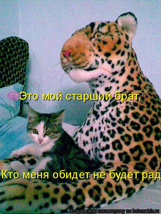 Это мой старший брат, Кто меня обидет не будет рад!... Котоматрица: Это мой старший брат, Кто меня обидет не будет рад!