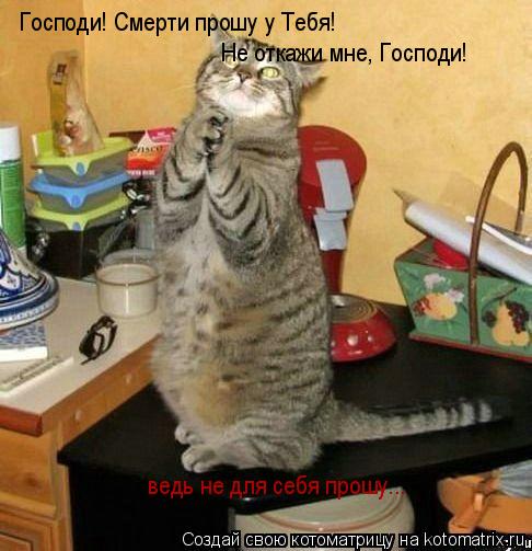 Господи! Смерти прошу у Тебя! Не откажи мне, Господи! ведь не для себя прошу...... Котоматрица: Господи! Смерти прошу у Тебя! Не откажи мне, Господи! ведь не для себя прошу...