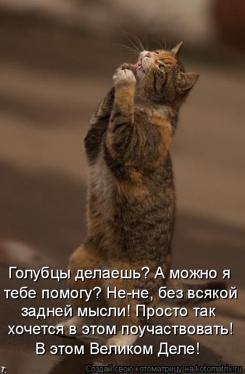 Голубцы делаешь? А можно я тебе помогу? Не-не, без всякой задней мысли! Просто так хочется в этом ... Котоматрица: Голубцы делаешь? А можно я тебе помогу? Не-не, без всякой задней мысли! Просто так хочется в этом поучаствовать! В этом Великом Деле!