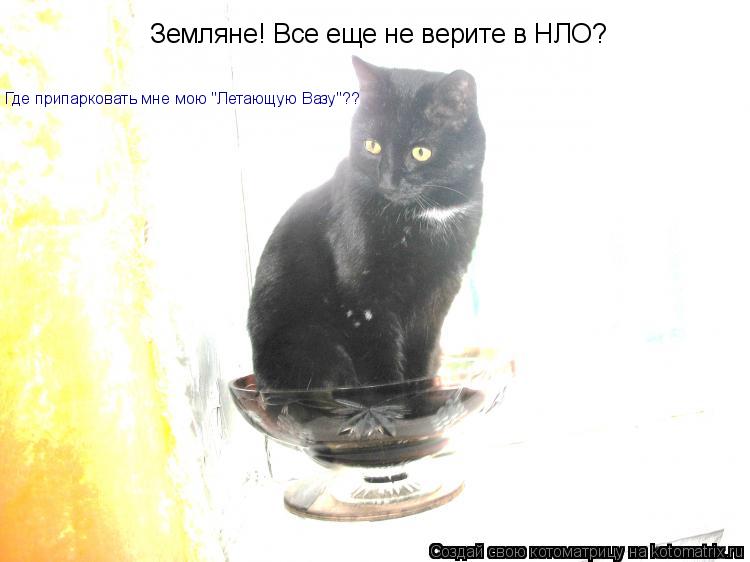 Где припарковать мне мою "Летающую Вазу"?? Земляне! Все еще не верите в НЛО?... Котоматрица: Где припарковать мне мою "Летающую Вазу"?? Земляне! Все еще не верите в НЛО?