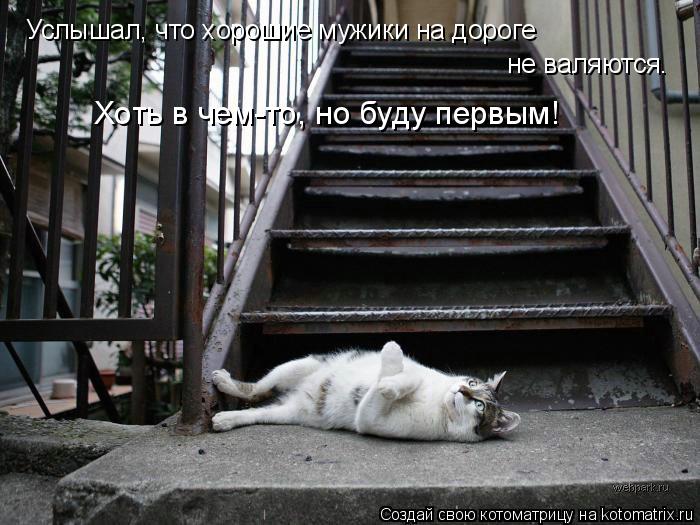 Услышал, что хорошие мужики на дороге не валяются. Хоть в чем-то, но буду первым!... Котоматрица: Услышал, что хорошие мужики на дороге не валяются. Хоть в чем-то, но буду первым!