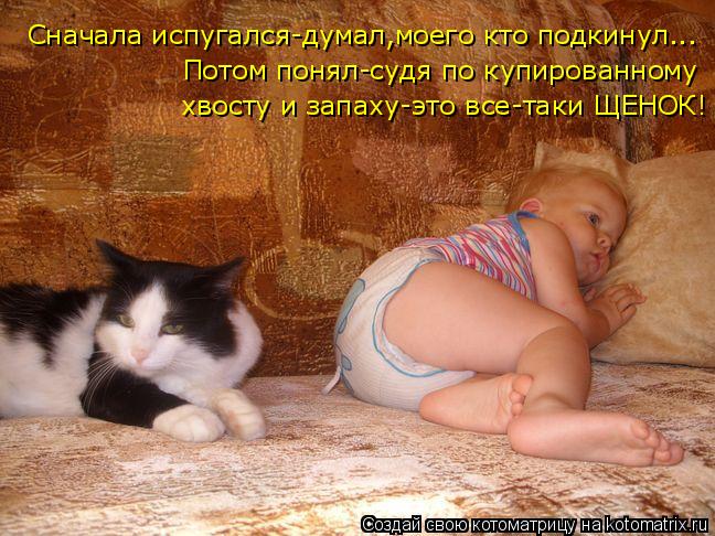 Сначала испугался-думал,моего кто подкинул... Потом понял-судя по купированному хвосту и запаху-это в... Котоматрица: Сначала испугался-думал,моего кто подкинул... Потом понял-судя по купированному хвосту и запаху-это все-таки ЩЕНОК!
