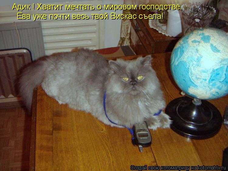 Адик ! Хватит мечтать о мировом господстве. Ева уже почти весь твой Вискас съела!... Котоматрица: Адик ! Хватит мечтать о мировом господстве. Ева уже почти весь твой Вискас съела!