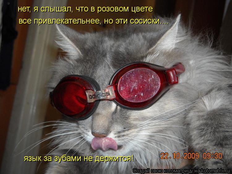 все привлекательнее, но эти сосиски.... нет, я слышал, что в розовом цвете язык за зубами не держитс... Котоматрица: все привлекательнее, но эти сосиски.... нет, я слышал, что в розовом цвете язык за зубами не держится!