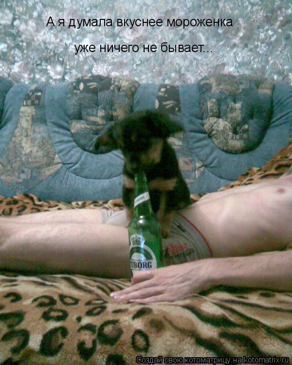 А я думала вкуснее мороженка уже ничего не бывает...... Котоматрица: А я думала вкуснее мороженка уже ничего не бывает...
