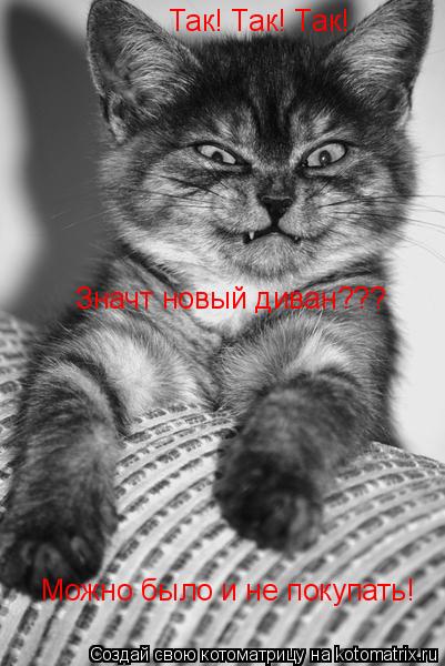 Так! Так! Так! Значт новый диван??? Можно было и не покупать!... Котоматрица: Так! Так! Так! Значт новый диван??? Можно было и не покупать!