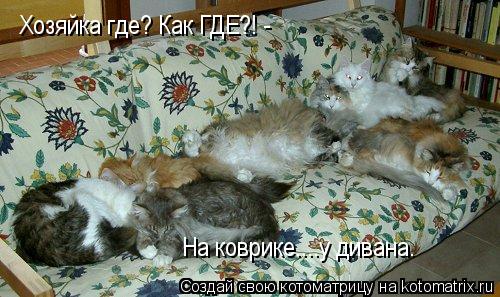 Хозяйка где? Как ГДЕ?! - На коврике....у дивана.... Котоматрица: Хозяйка где? Как ГДЕ?! - На коврике....у дивана.