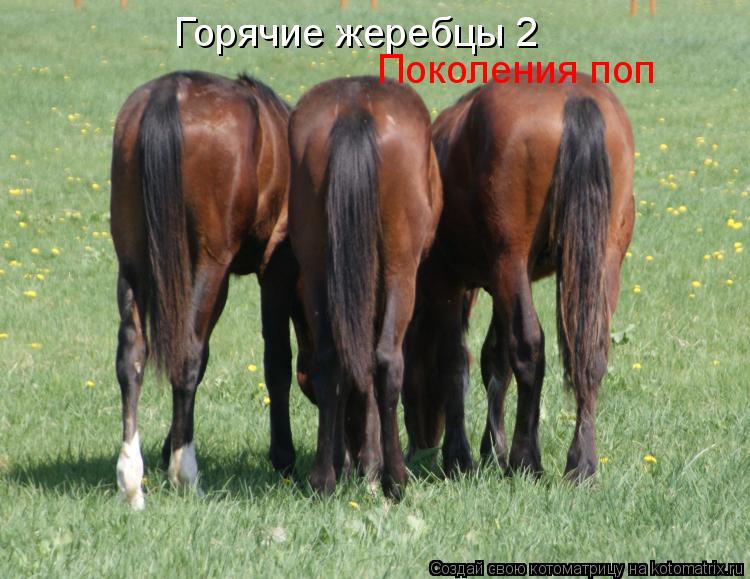 Горячие жеребцы 2 Поколения поп... Котоматрица: Горячие жеребцы 2 Поколения поп