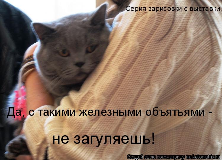Серия зарисовки с выставки. Да, с такими железными объятьями - не загуляешь!... Котоматрица: Серия зарисовки с выставки. Да, с такими железными объятьями - не загуляешь!