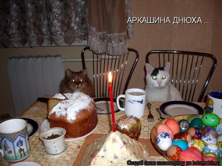 АРКАШИНА ДНЮХА ...... Котоматрица: АРКАШИНА ДНЮХА ...