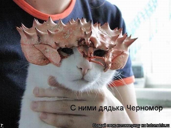 С ними дядька Черномор... Котоматрица: С ними дядька Черномор