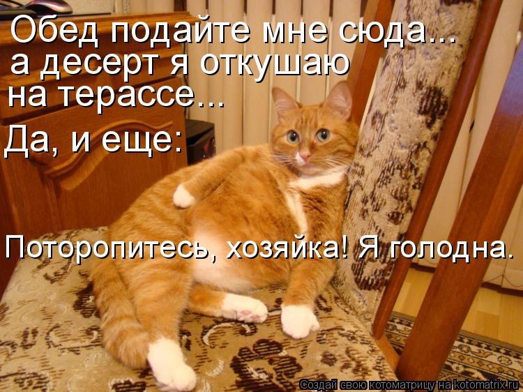 Обед подайте мне сюда... а десерт я откушаю на терассе... Да, и еще: Поторопитесь, хозяйка! Я голодн... Котоматрица: Обед подайте мне сюда... а десерт я откушаю на терассе... Да, и еще: Поторопитесь, хозяйка! Я голодна.
