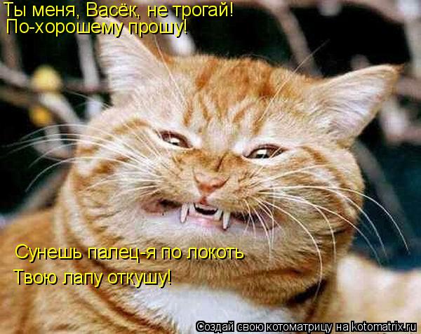 Ты меня, Васёк, не трогай! По-хорошему прошу! Сунешь палец-я по локоть Твою лапу откушу!... Котоматрица: Ты меня, Васёк, не трогай! По-хорошему прошу! Сунешь палец-я по локоть Твою лапу откушу!