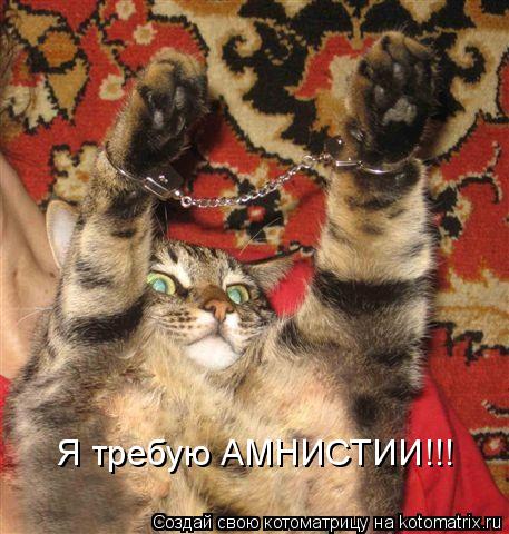 Я требую АМНИСТИИ!!!... Котоматрица: Я требую АМНИСТИИ!!!