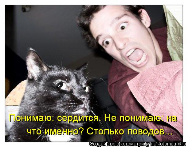 Котоматрица: Понимаю: сердится. Не понимаю: на  что именно? Столько поводов...