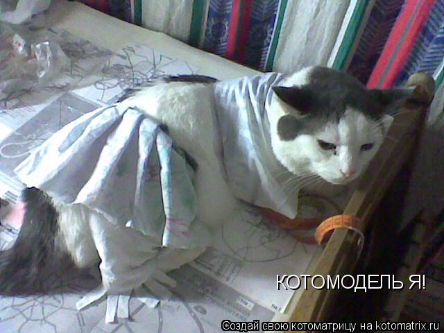 КОТОМОДЕЛЬ Я!... Котоматрица: КОТОМОДЕЛЬ Я!