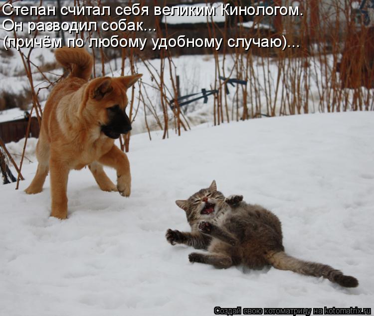 Степан считал себя великим Кинологом. Он разводил собак... (причём по любому удобному случаю)...... Котоматрица: Степан считал себя великим Кинологом. Он разводил собак... (причём по любому удобному случаю)...