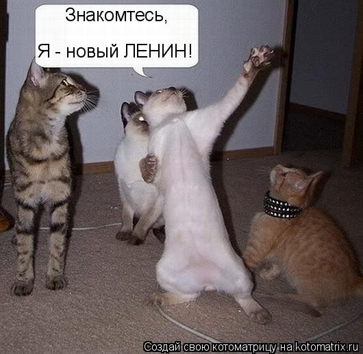 Знакомтесь, Я - новый ЛЕНИН!... Котоматрица: Знакомтесь, Я - новый ЛЕНИН!