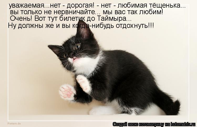 уважаемая...нет - дорогая! - нет - любимая тёщенька... вы только не нервничайте... мы вас так любим!... Котоматрица: уважаемая...нет - дорогая! - нет - любимая тёщенька... вы только не нервничайте... мы вас так любим! Очень! Вот тут билетик до Таймыра... Ну должн